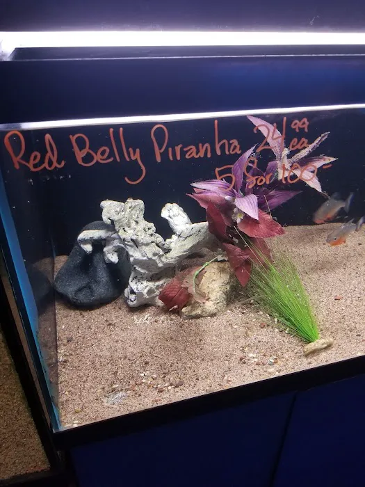 Tropi-Quatics Pet Center Picture 3