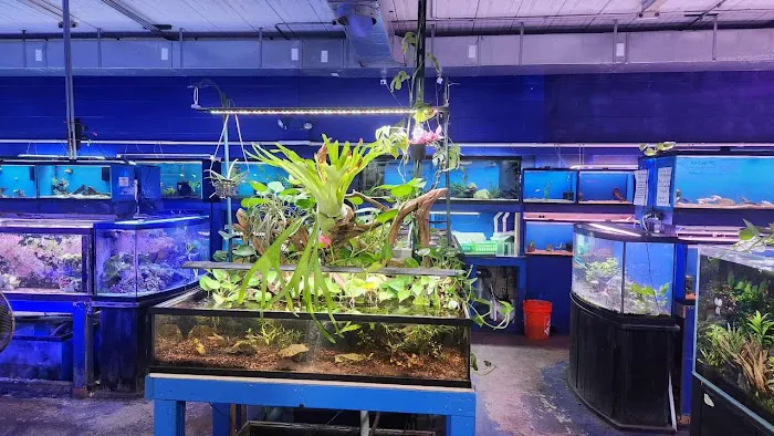 Tropi-Quatics Pet Center Picture 8