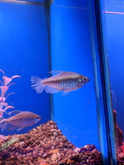 Tropi-Quatics Pet Center Picture 10