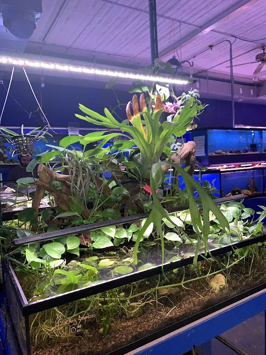 Tropi-Quatics Pet Center Picture 6