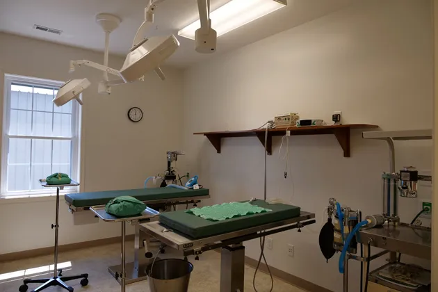 Maple Lane Veterinary Clinic Picture 7