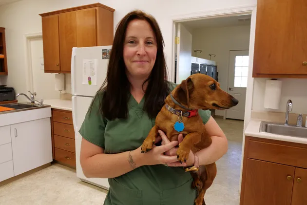 Maple Lane Veterinary Clinic Picture 1