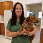 Maple Lane Veterinary Clinic