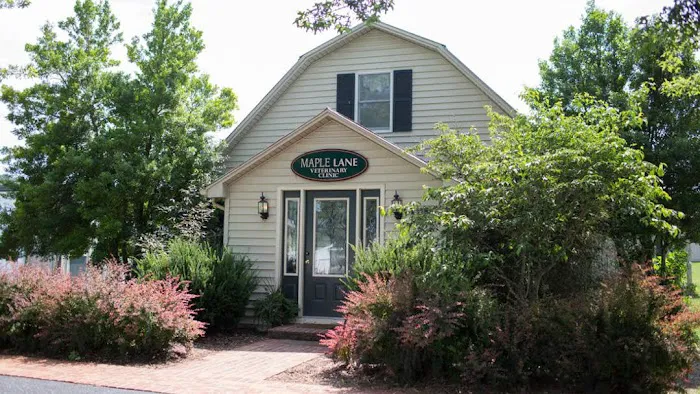 Maple Lane Veterinary Clinic Picture 5