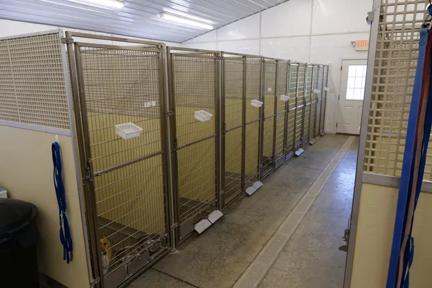 Maple Lane Veterinary Clinic Picture 6
