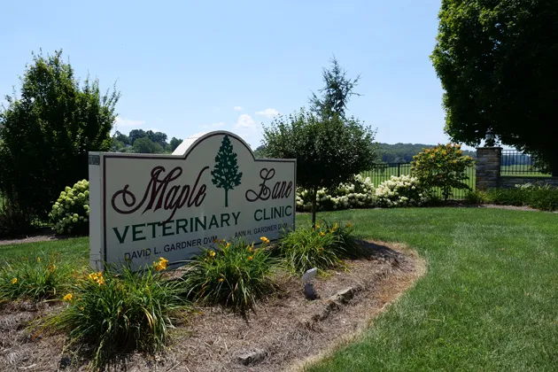 Maple Lane Veterinary Clinic Picture 4