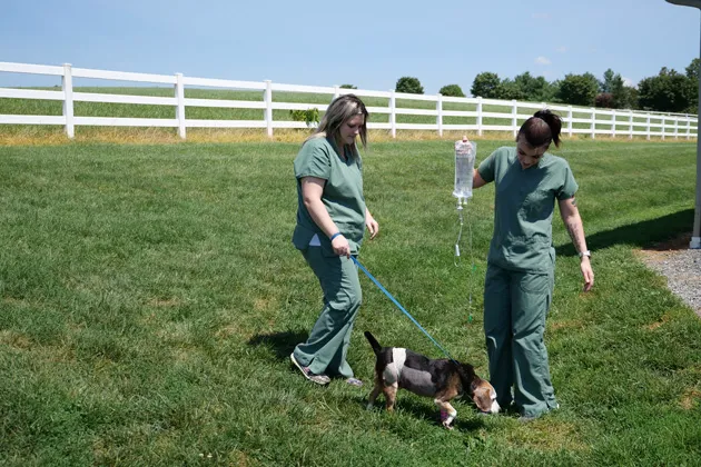 Maple Lane Veterinary Clinic Picture 9