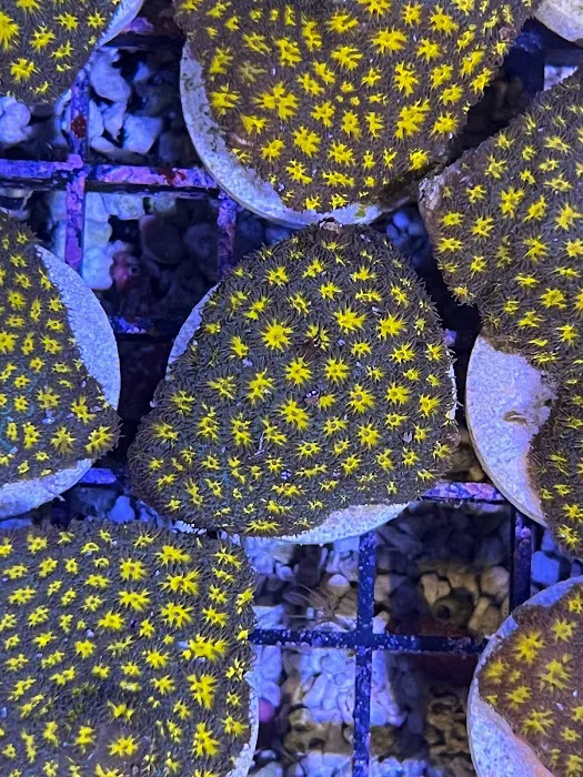 The Little Reef Shop Picture 5