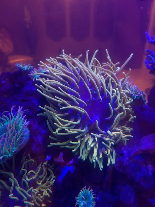 The Little Reef Shop Picture 3