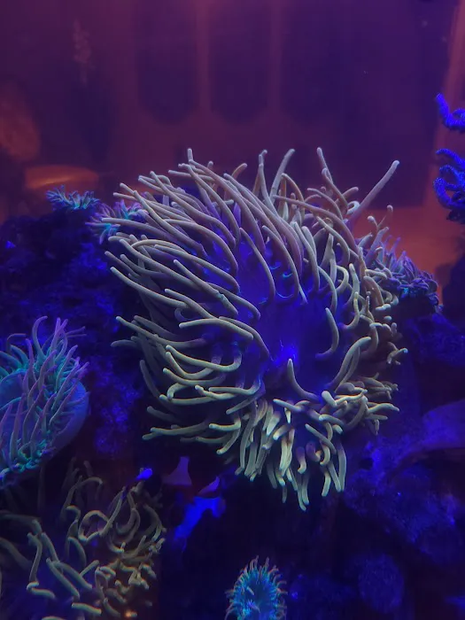 The Little Reef Shop Picture 1
