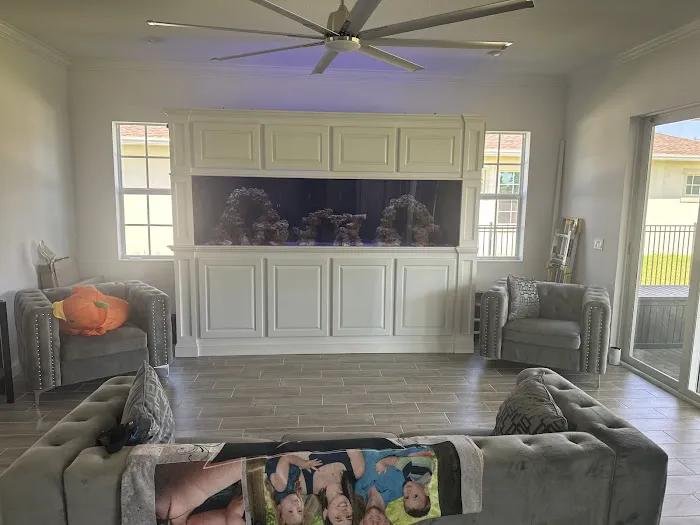 The Little Reef Shop Picture 6