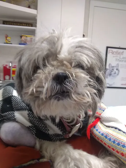 Loyalhanna Veterinary Clinic Picture 7