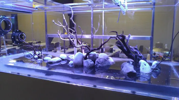 Aquariums Done Wright (Aquarium Service) Picture 2