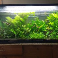 Aquariums Done Wright (Aquarium Service) ico