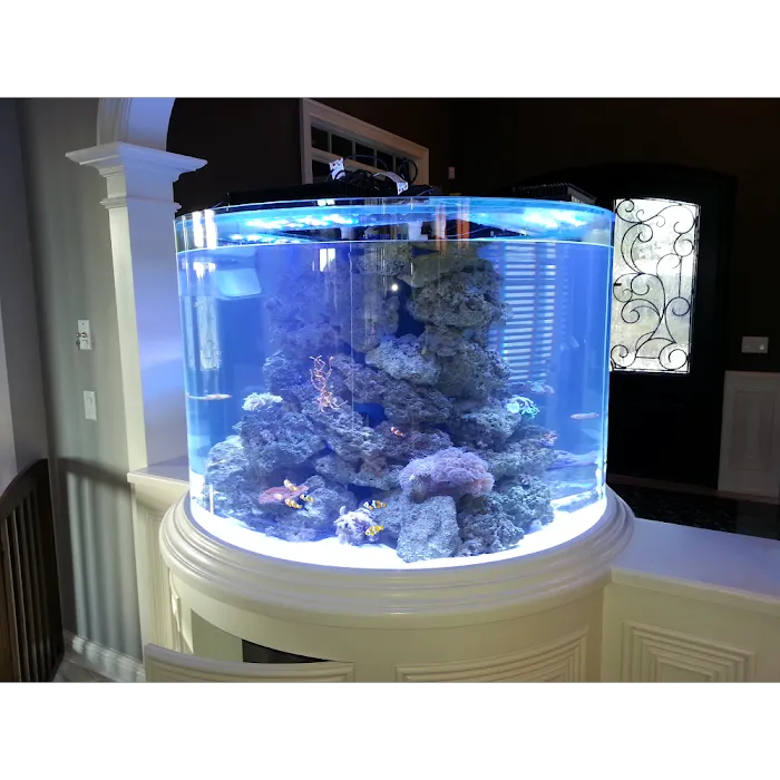Aquariums Done Wright (Aquarium Service) Picture 10