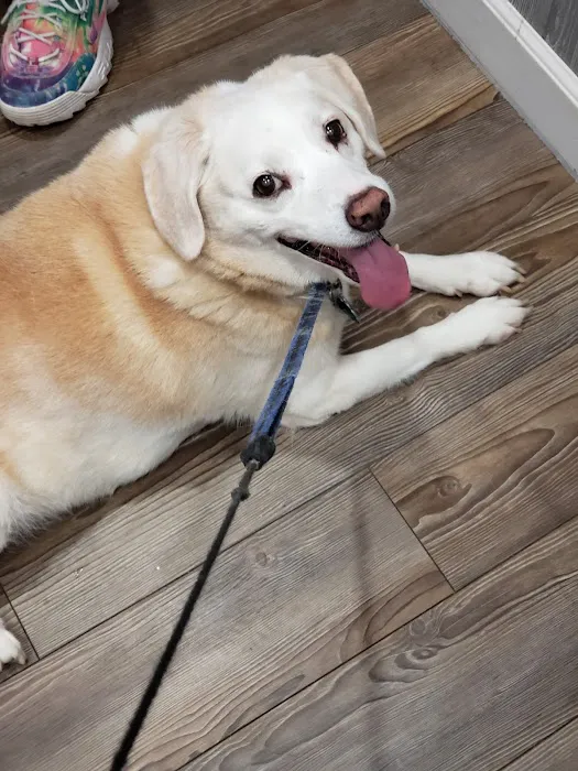 Vought Veterinary Services LLC Picture 5