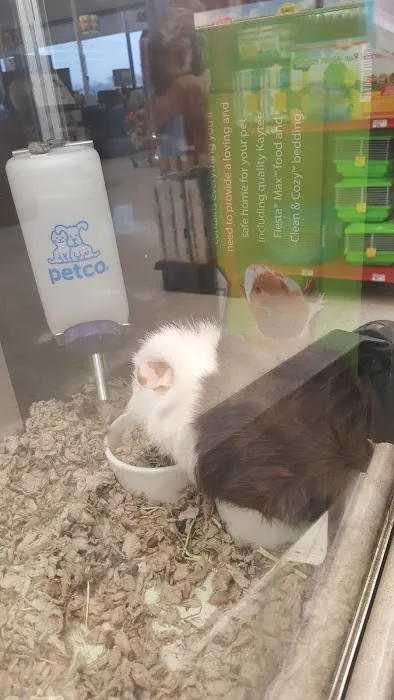 Petco Picture 10