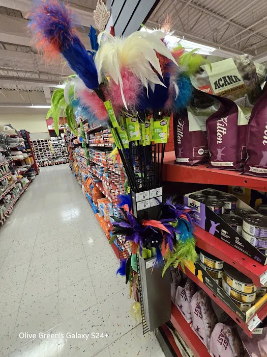 Petco Picture 5
