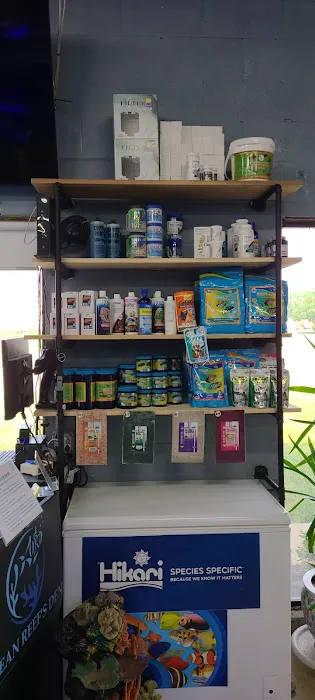 Ocean Reef's Den (ORD) Aquatics Picture 4