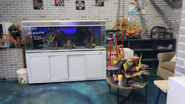 Ocean Reef's Den (ORD) Aquatics Picture 6