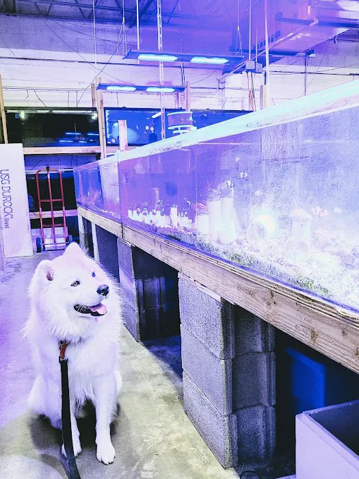 Ocean Reef's Den (ORD) Aquatics Picture 9