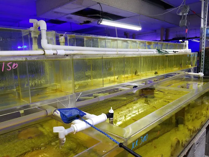 Ocean Reef's Den (ORD) Aquatics Picture 10