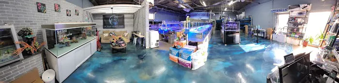Ocean Reef's Den (ORD) Aquatics Picture 5