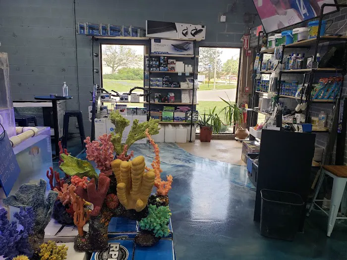 Ocean Reef's Den (ORD) Aquatics Picture 2