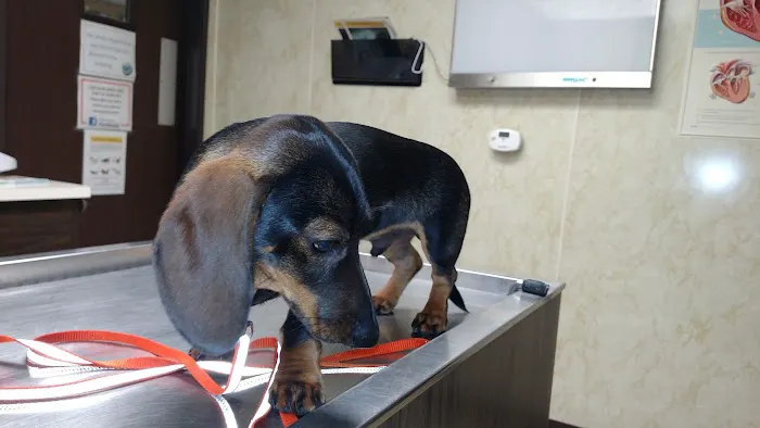 Ridgeview Veterinary Clinic Picture 10