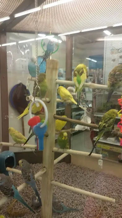 Petco Picture 3