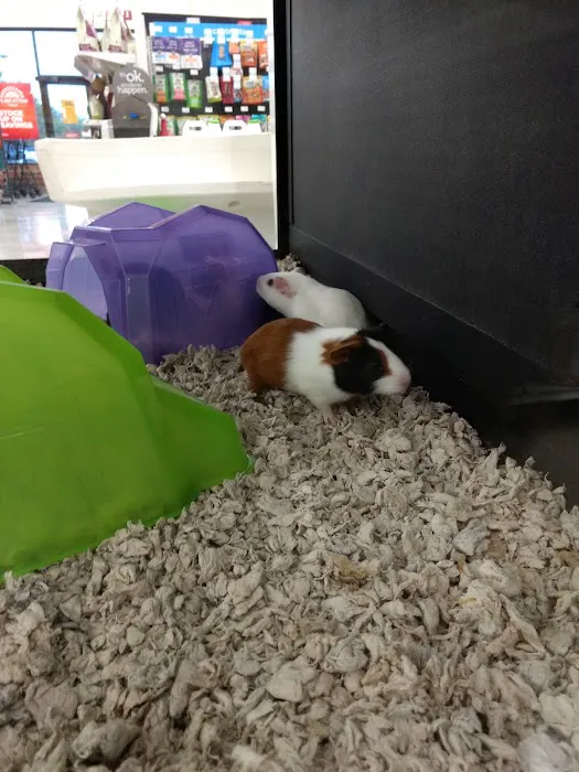 Petco Picture 9