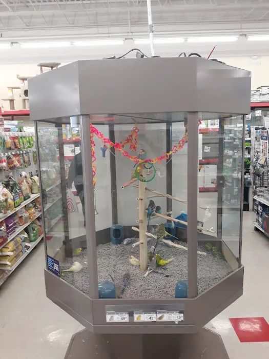 Petco Picture 1