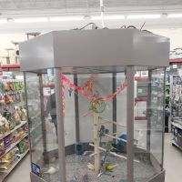 Petco ico