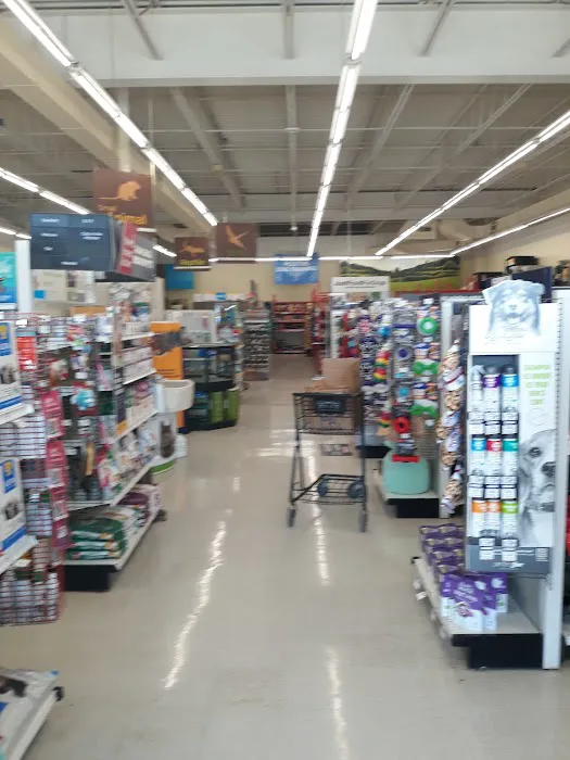 Petco Picture 5