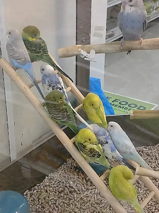 Petco Picture 7