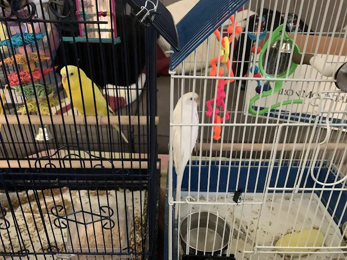 Petco Picture 8