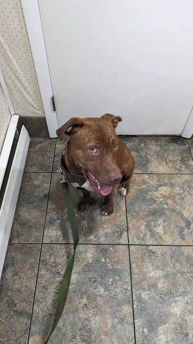 Lakeview Animal Clinic Picture 8
