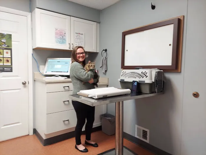 Latrobe Animal Clinic Picture 3