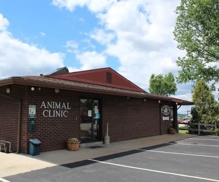 Latrobe Animal Clinic