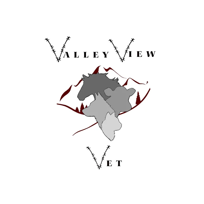 Valley View Vet Dr Chelsee Beal Picture 2