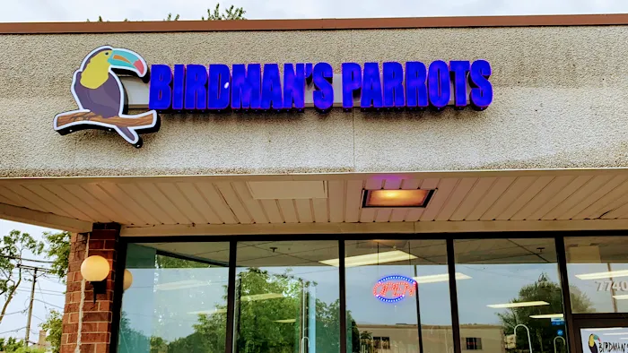 BIRDMAN'S PARROTS Picture 9
