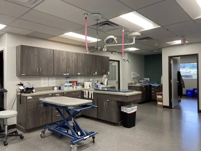 Mountain View Veterinary Care Picture 10