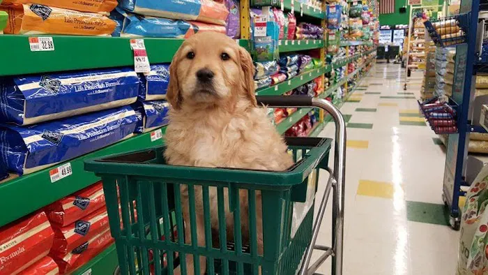 Pet Supplies Plus Dyer Picture 8