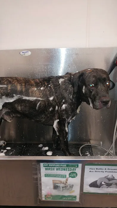 Pet Supplies Plus Dyer Picture 5