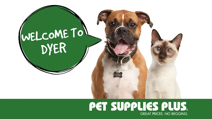 Pet Supplies Plus Dyer Picture 10