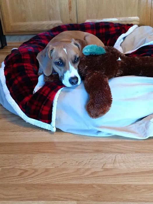 Pet Supplies Plus Dyer Picture 6