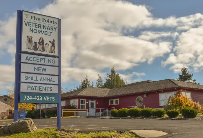 Five Points Veterinary Norvelt Picture 3