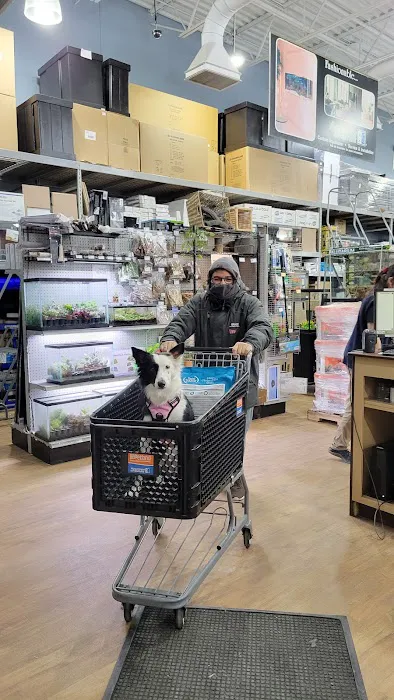 Petland Bolingbrook Picture 10
