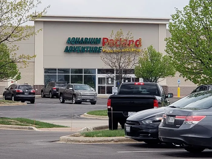 Petland Bolingbrook Picture 1