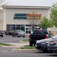 Petland Bolingbrook ico
